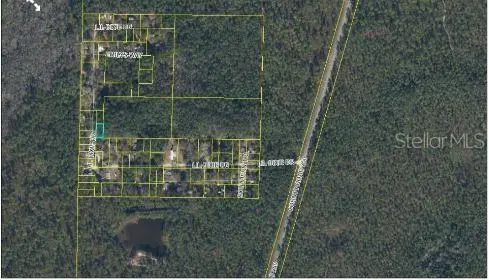 17847 Lil Dixie Drive, Sanderson, FL 32087 - Image #3