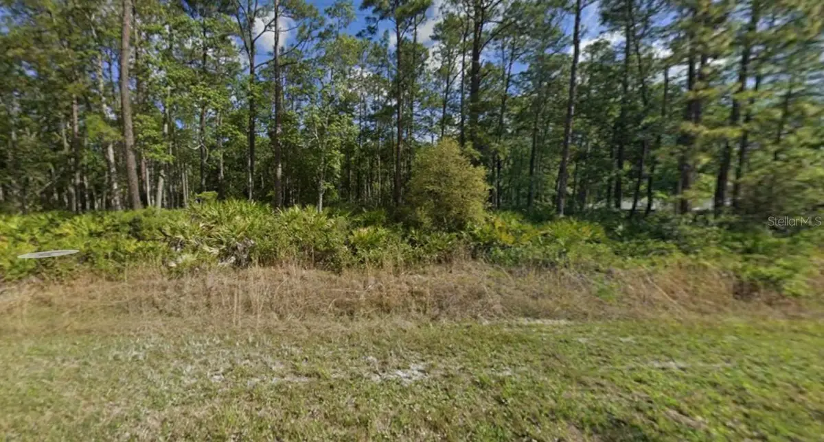 608 Hickory Nut Trail, Satsuma, FL 32189 - Image #1