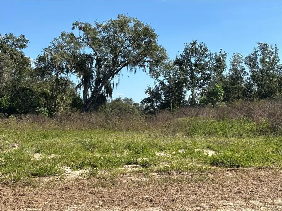 2836 Nahele Trail, Apopka, FL 32712 - Image #2