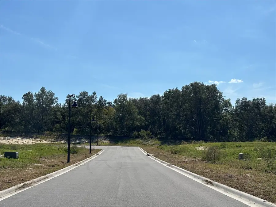 2836 Nahele Trail, Apopka, FL 32712 - Image #3