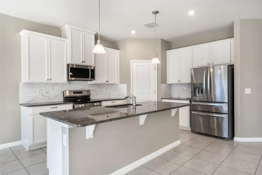 334 Winter Bliss Lane, Mount Dora, FL 32757 - Image #3