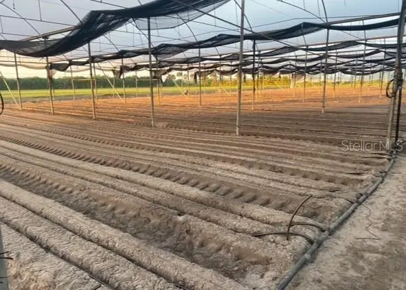 6150 Pringle Lane, IMMOKALEE, FL 34142