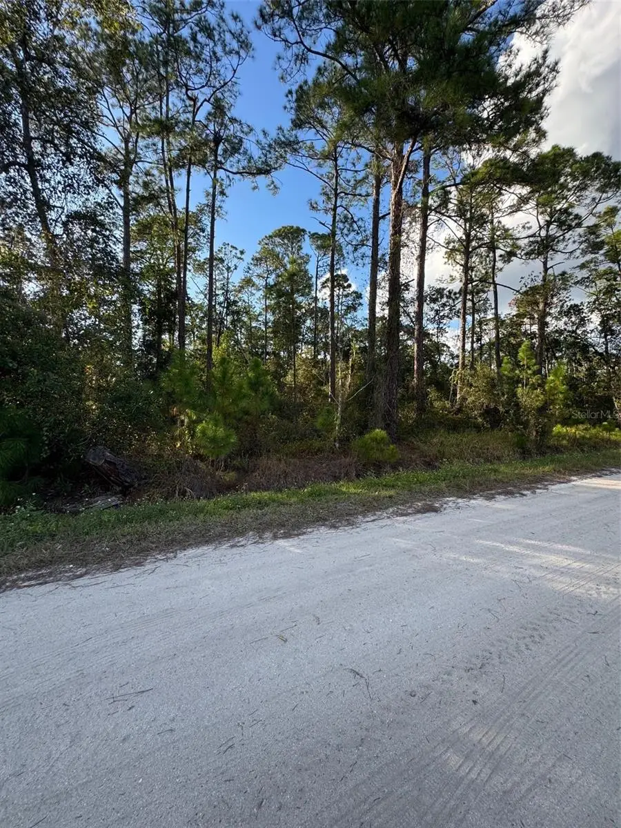 11th Avenue, Deland, FL 32724 - Image #2