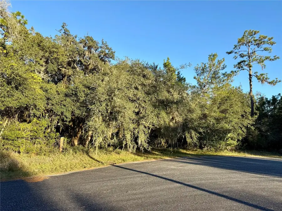 Flag Street, Eustis, FL 32736 - Image #2