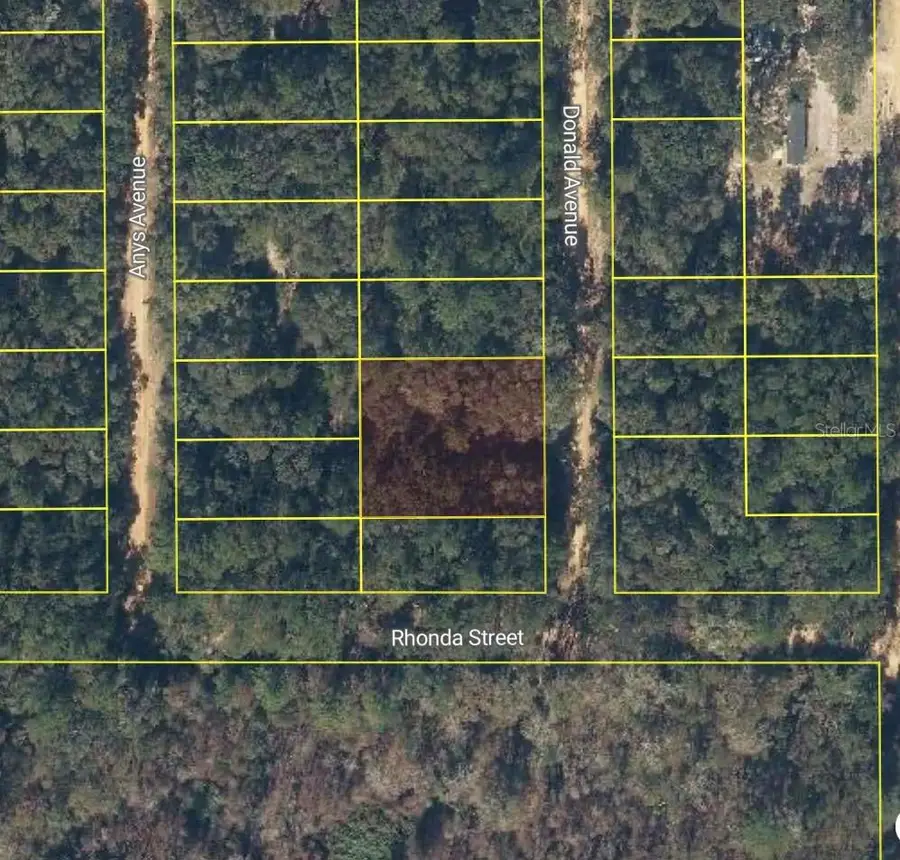 Donald Avenue, Interlachen, FL 32148 - Image #2