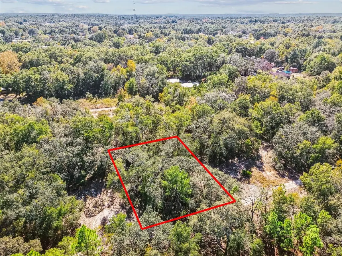 2903 Tyler Street, Inverness, FL 34453 - Image #1