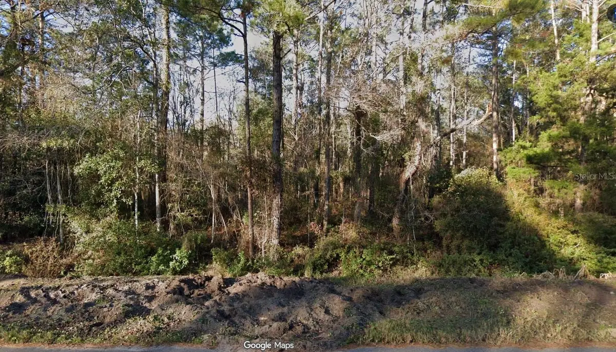 4220 Helena Street, Hastings, FL 32145 - Image #1