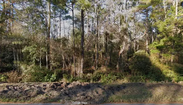 4220 Helena Street, HASTINGS, FL 32145