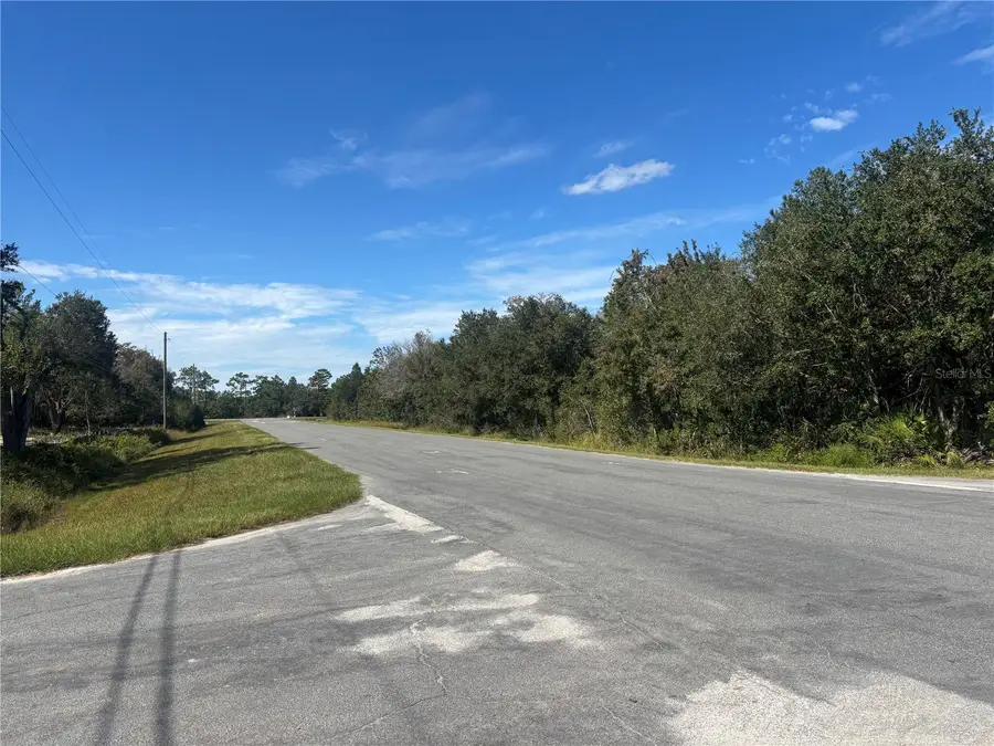 Coronet Avenue, Orlando, FL 32833 - Image #3