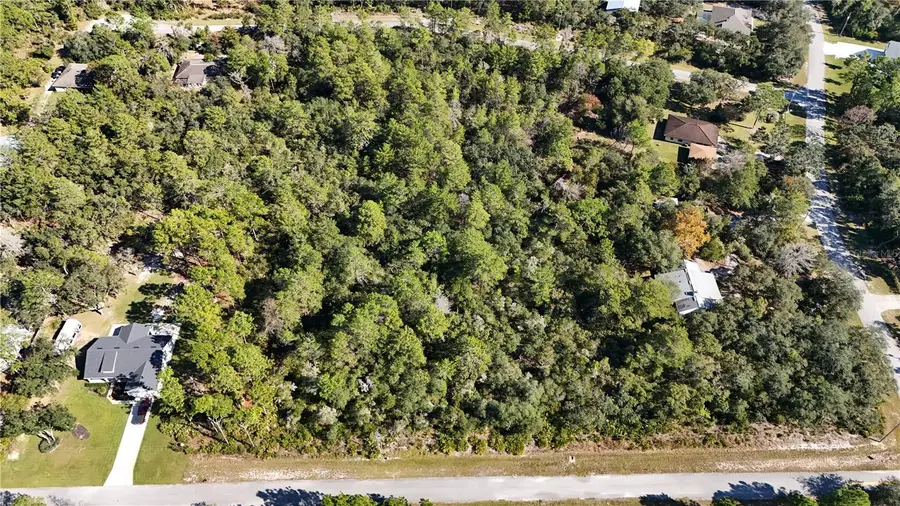 Ligustrum Street, Eustis, FL 32736 - Image #2