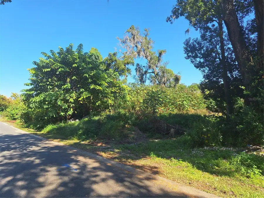 335 E 12th Street, Apopka, FL 32703 - Image #2