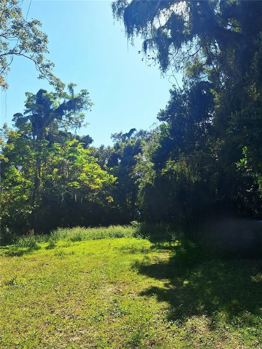 203 E 13th Street, Apopka, FL 32703 - Image #3