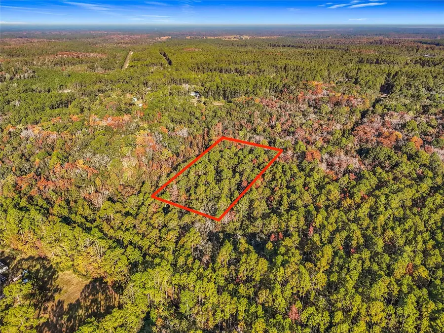 SW 6th Terrace, Palatka, FL 32177 - Image #2