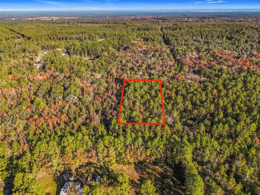 SW 6th Terrace, Palatka, FL 32177 - Image #3