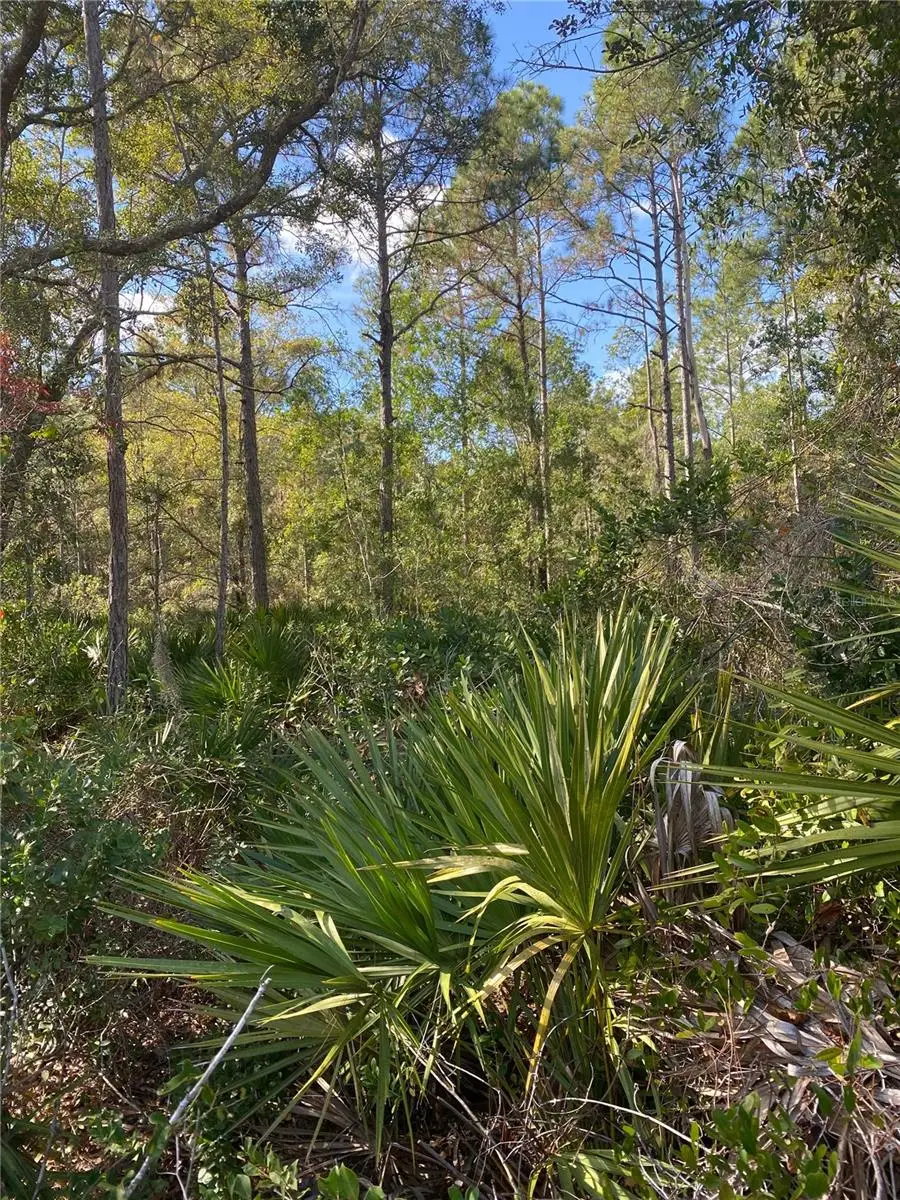 862 Lamar Street E, Lehigh Acres, FL 33974 - #3