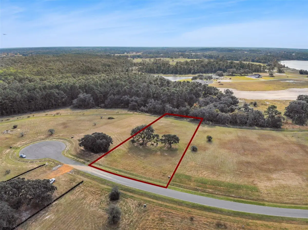 38538 Wooded Meadow Drive, Umatilla, FL 32784 - Image #1