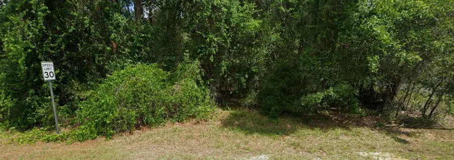 2895 E Marcia Street, Inverness, FL 34453 - Image #2