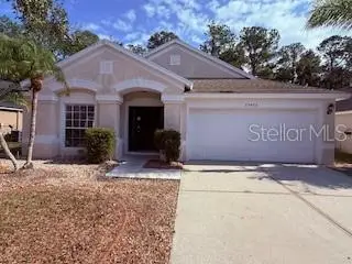 25422 Lexington Oaks Boulevard, Wesley Chapel, FL 33544 - Image #2
