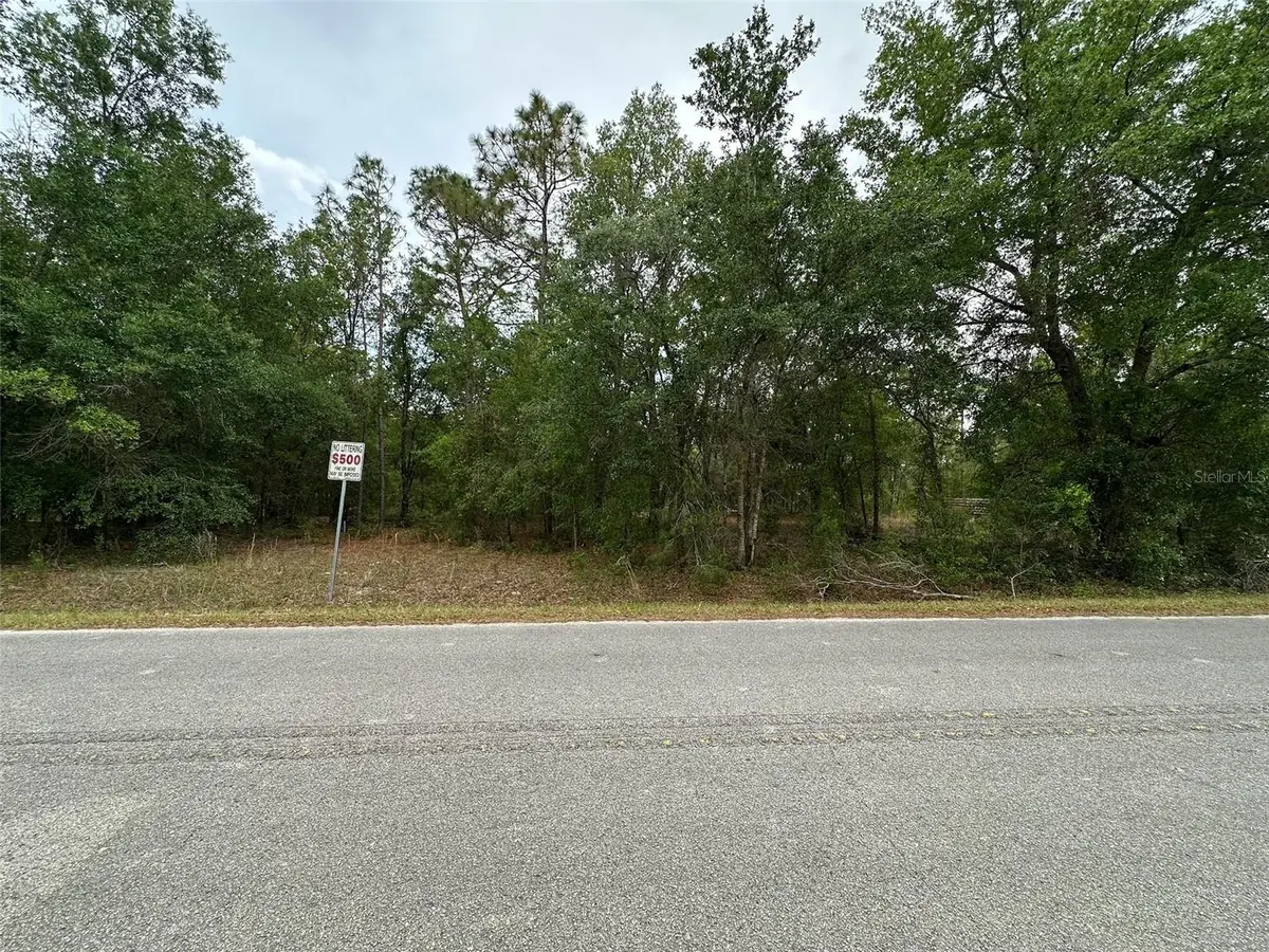 SE 152nd Lane, Summerfield, FL 34491 - Image #1