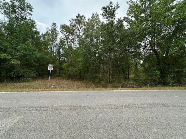 SE 152nd Lane, SUMMERFIELD, FL 34491