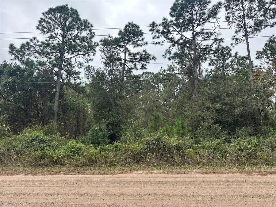 Settlers Loop, Geneva, FL 32732 - #3