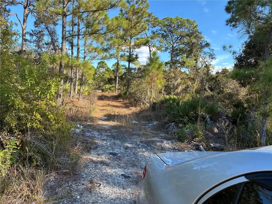 321 Showboat Avenue, Lake Placid, FL 33852 - Image #2