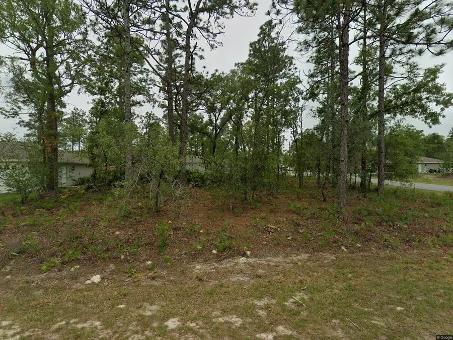 2084 W Riley Drive, Citrus Springs, FL 34434 - Image #3