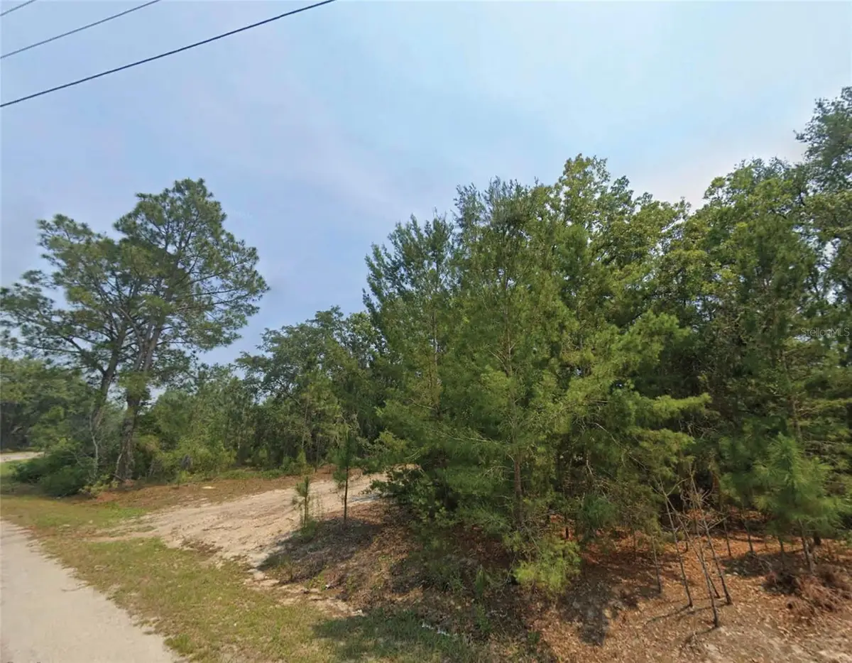 Malauka Place, Ocklawaha, FL 32179 - Image #1