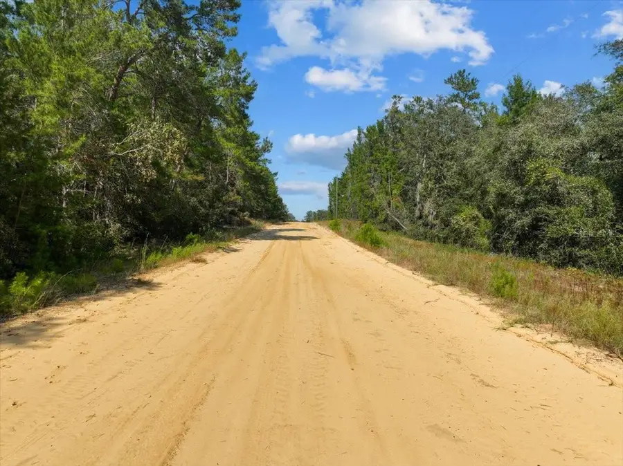 211 Selma Avenue, Interlachen, FL 32148 - Image #3