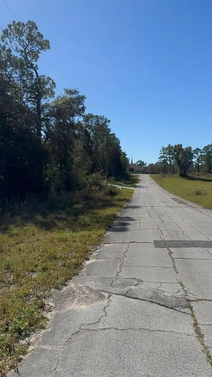 2988 W Sun Place, Dunnellon, FL 34433 - Image #3