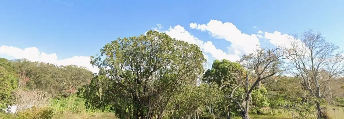 1342 Avalon Road, Winter Garden, FL 34787 - Image #1