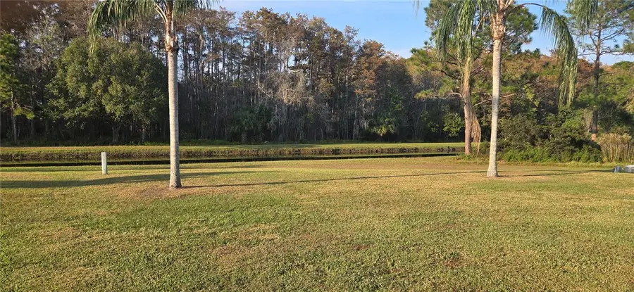 11231 Scenic View Lane, Orlando, FL 32821 - Image #2