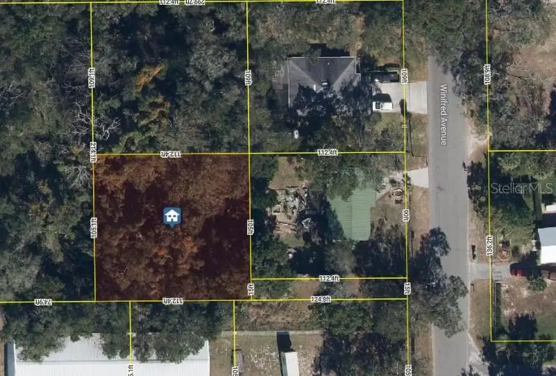 2834 Winifred Avenue, Zellwood, FL 32798 - Image #2