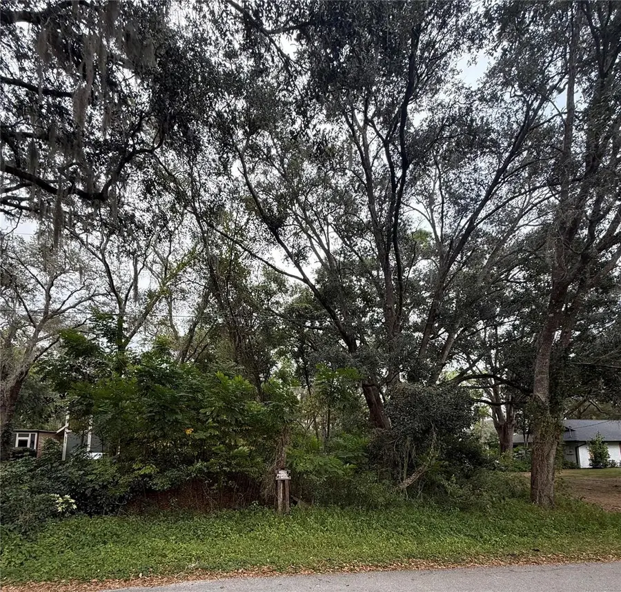 8246 Via Bella Street, Sanford, FL 32771 - Image #2