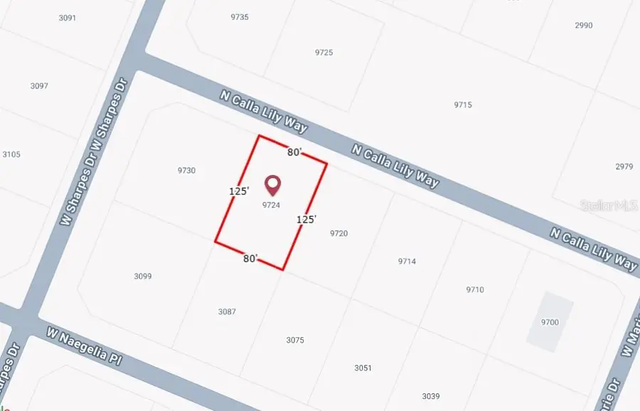 9724 W Calla Lily Drive, Dunnellon, FL 34433 - Image #2