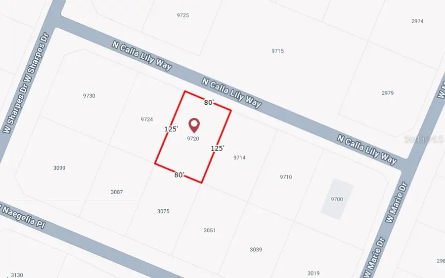 9720 W Calla Lily Drive, Dunnellon, FL 34433 - Image #2