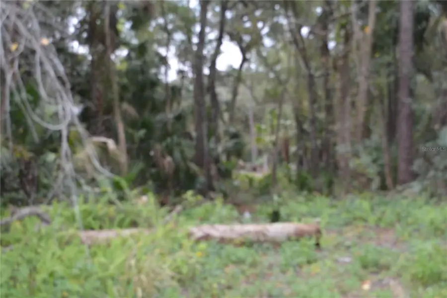 0 Hester Avenue Avenue, Sanford, FL 32773 - Image #3