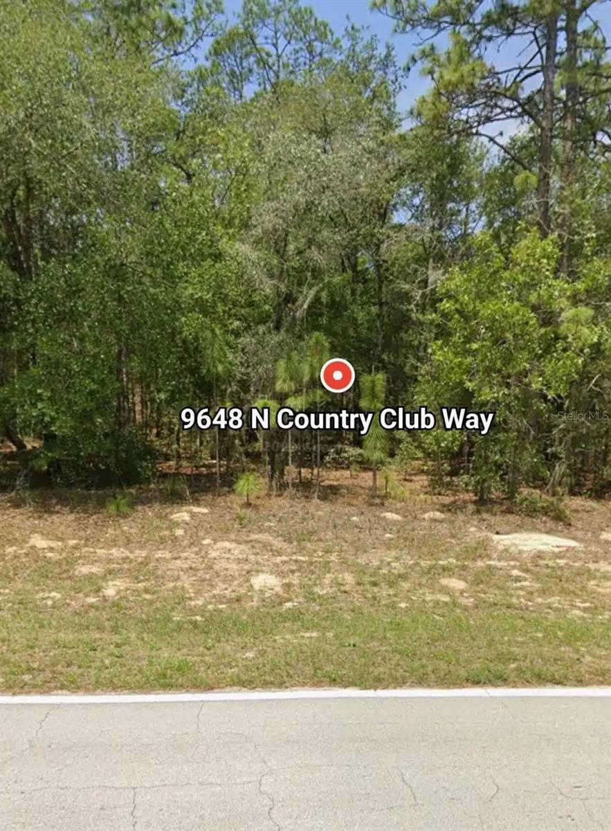 9648 N Country Club Way, Citrus Springs, FL 34434 - Image #2