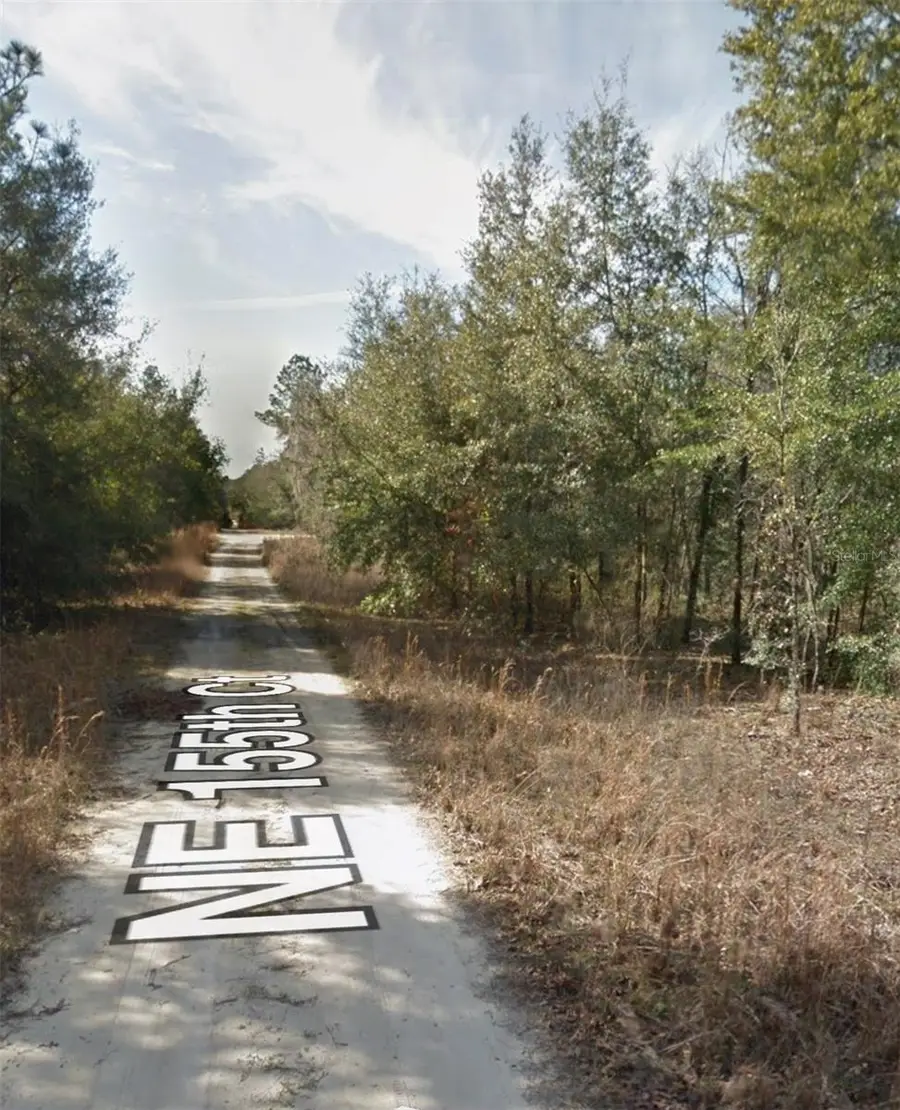 NE 155th Court, Williston, FL 32696 - Image #3