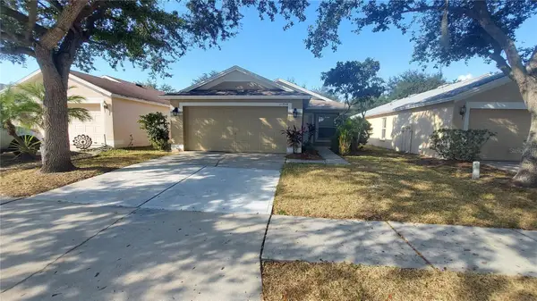 11208 Summer Star Drive, RIVERVIEW, FL 33579