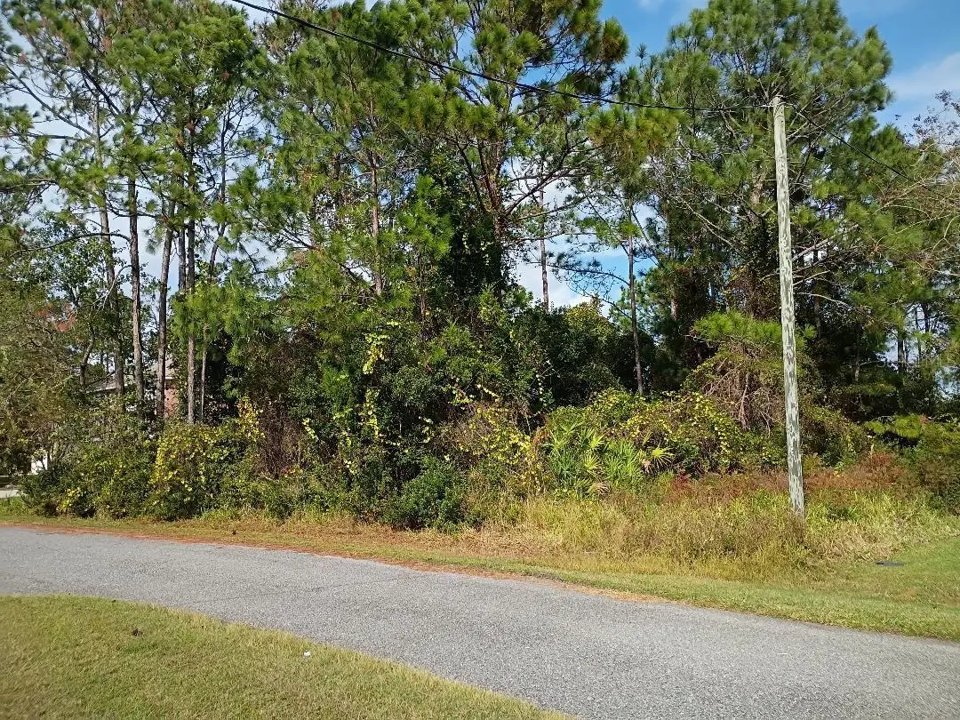 36 Buffalo Meadow Ln, Palm Coast, FL 32137 - Image #1