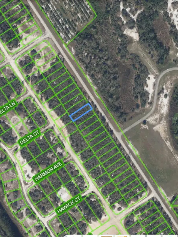 961 County Road 29, LAKE PLACID, FL 33852