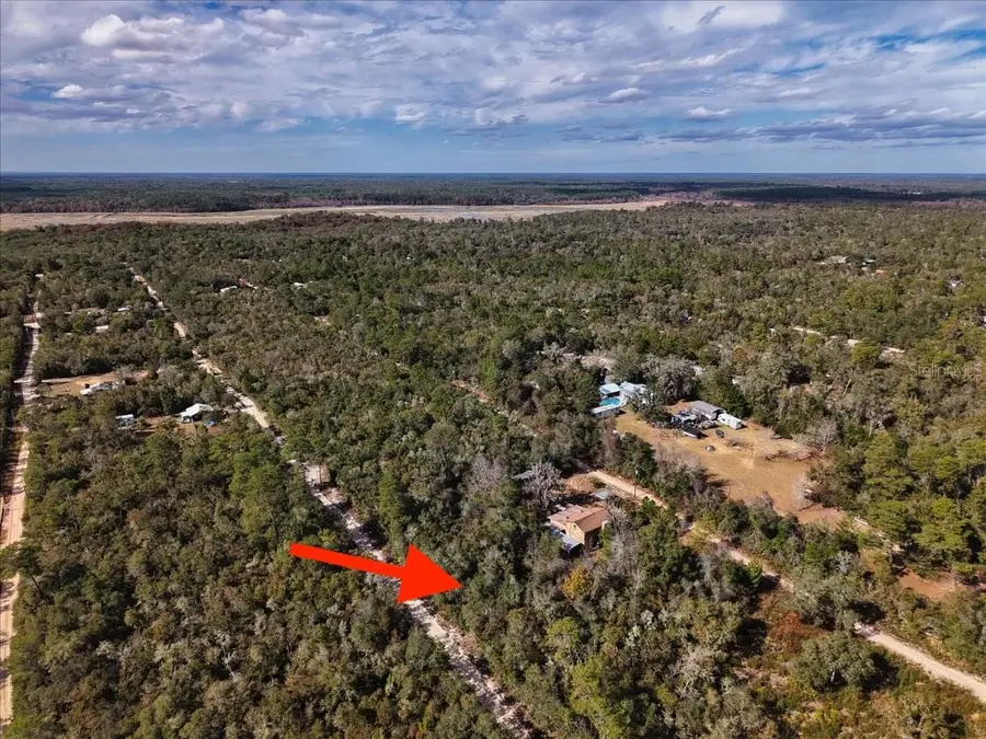 NE 233rd Lane, Fort McCoy, FL 32134 - Image #2