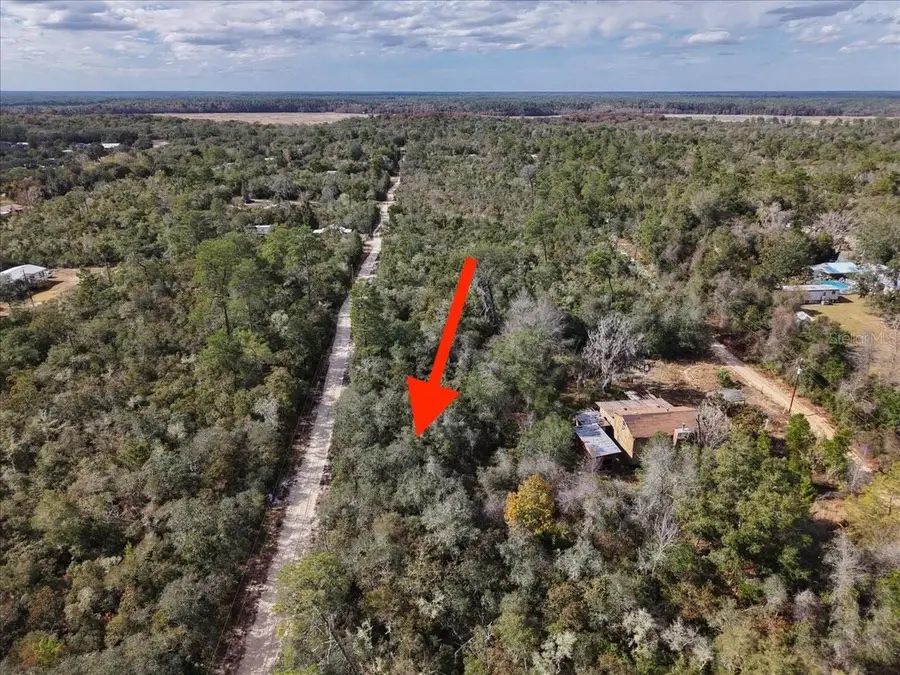 NE 233rd Lane, Fort McCoy, FL 32134 - Image #3