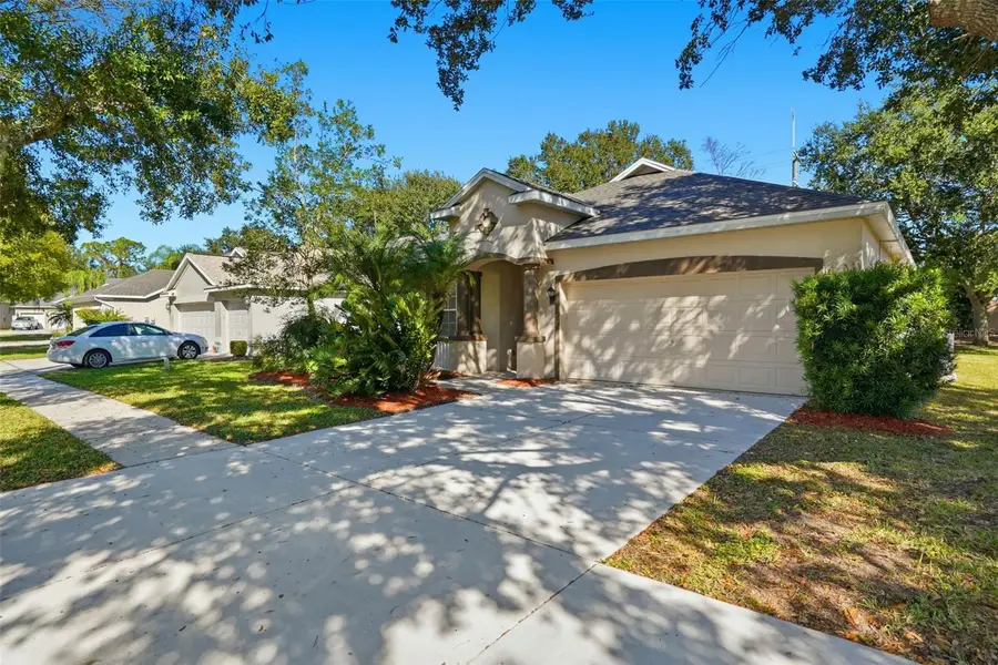 12906 Cattail Shore Lane, Riverview, FL 33579 - Image #2