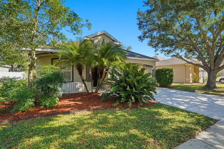 12906 Cattail Shore Lane, Riverview, FL 33579 - Image #3