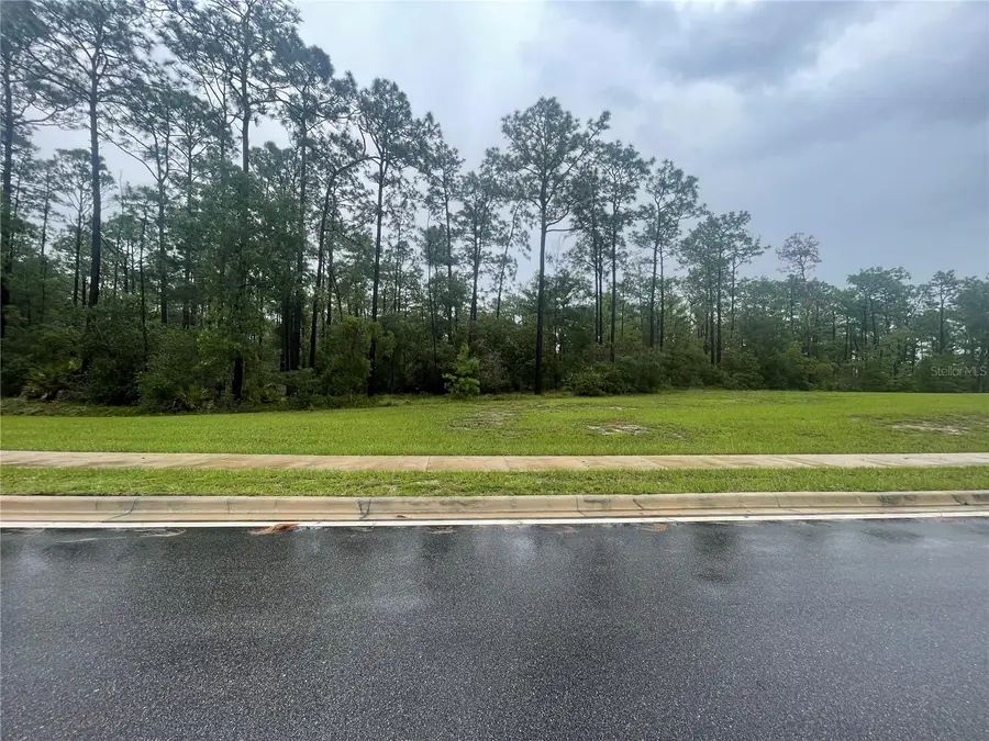 Virginia (paper) Avenue, Deltona, FL 32738 - Image #2