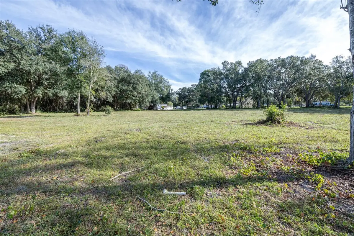 SE 124th Avenue, Webster, FL 33597 - Image #1