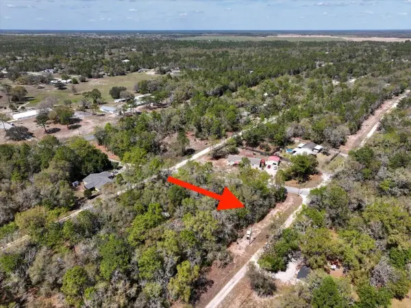 NE 154 Terrace, WILLISTON, FL 32696