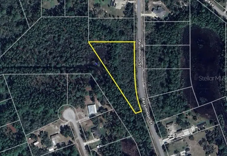 LOT 11 Persimmon Street, Eustis, FL 32736 - Image #2
